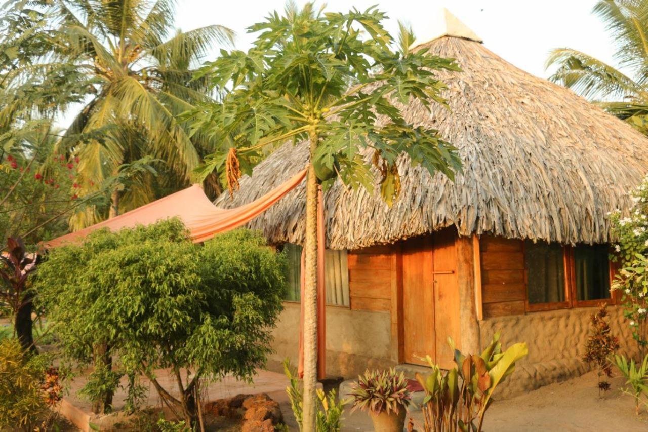 Monsoon Eco Resort - Whisky Point Arugambay Pottuvil Room photo